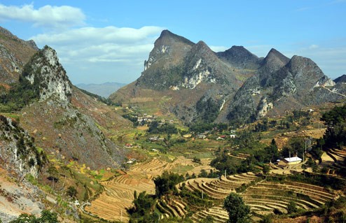 Dong Van stone plateau attracts domestic and foreign visitors - ảnh 1